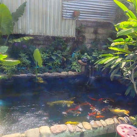 Vang Vieng Champa Hotel Экстерьер фото