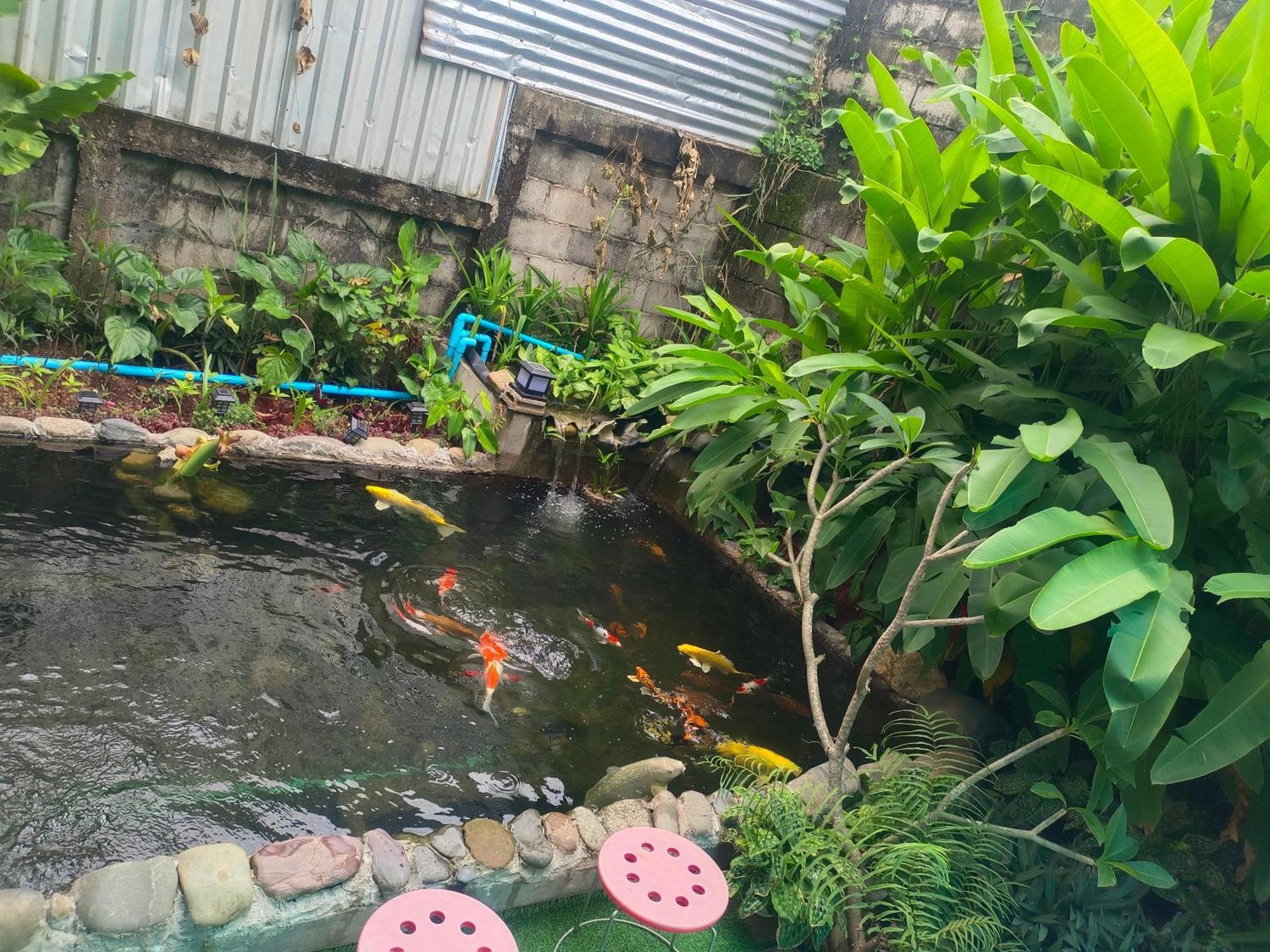 Vang Vieng Champa Hotel Экстерьер фото